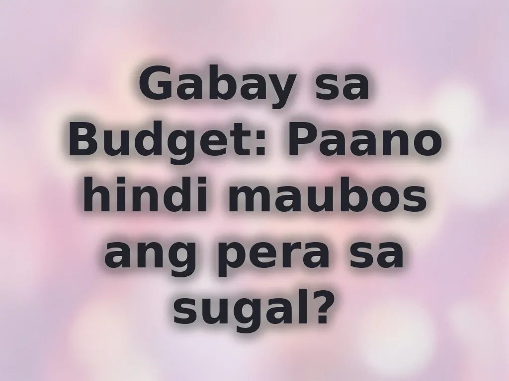 Budget guide